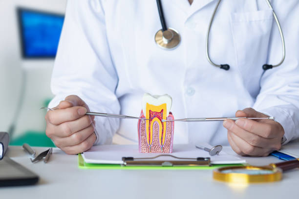 Best Walk-In Emergency Dental Services in Wilber, NE